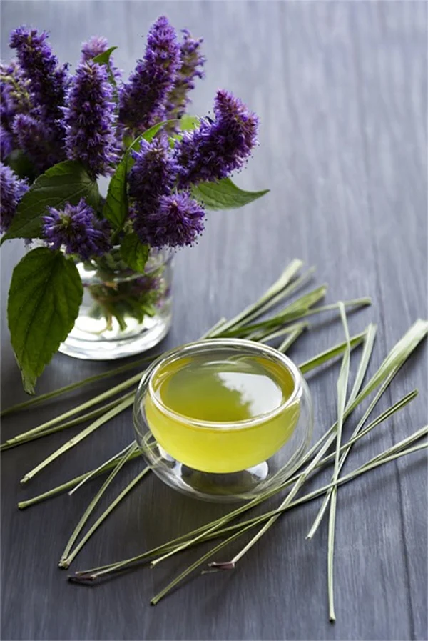庭の電気柵で害虫対策！たった1本で効果が出る設置のコツ