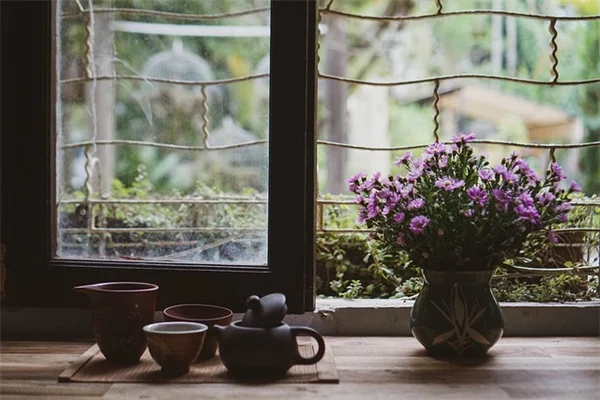 失敗した私が教える「アルコール除草」が危険な理由と安全な3つの対策