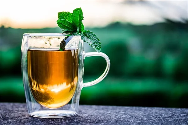 ジャガイモの皮肥料茶で苗が強くなる！プロが教える簡単な作り方