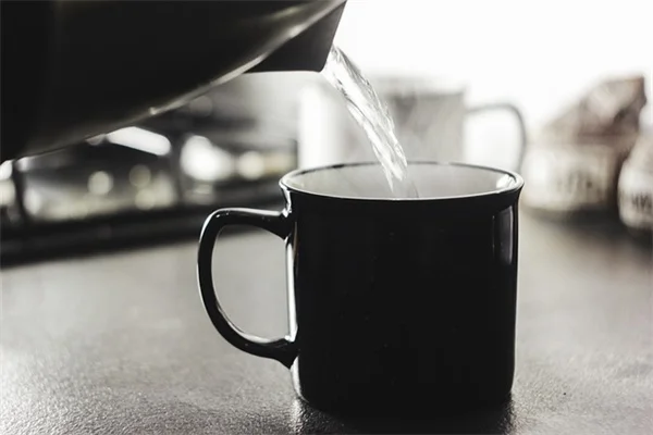 つるバラの育て方：初心者でも失敗しない5つのコツ
