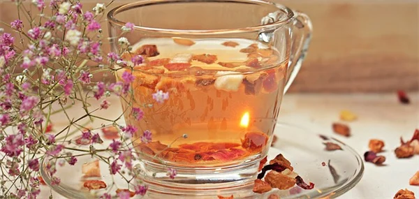 早春花でミツバチを呼び込む！多年草6種の実践ガイド